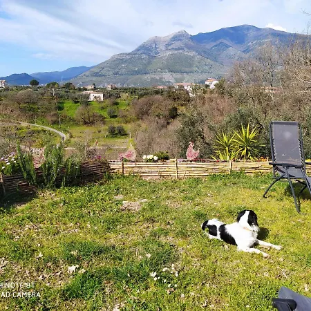 Short Let Apartament